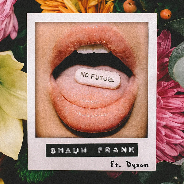 Bekræftelse talent Seminar Shaun Frank Feat. Dyson - No Future | Releases | Discogs