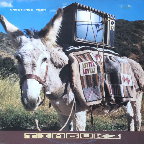 Timbuk 3 – Greetings From Timbuk 3 (1986, Vinyl) - Discogs