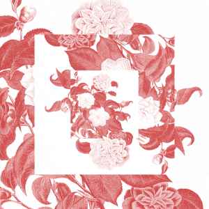Various - White Gardenia Vol.2 album cover