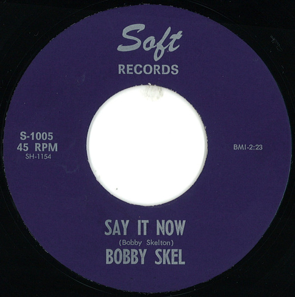 baixar álbum Download Bobby Skel - Say It Now album