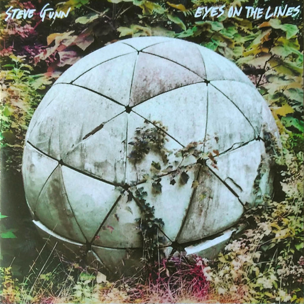 Steve Gunn – Eyes On The Lines (2016, Vinyl) - Discogs