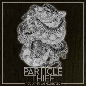 Particle Thief - Not What We Expected album cover