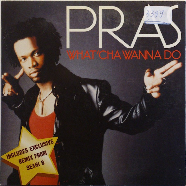 Pras What cha Wanna Do 1999 Cardboard Sleeve CD Discogs