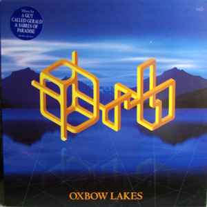 The Orb - Oxbow Lakes album cover