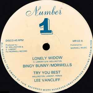Bingy Bunny - Lonely Widow album cover