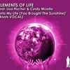 Elements Of Life (3) Feat. Lisa Fischer & Cindy Mizelle - Into My Life (You Brought The Sunshine)