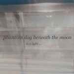 Phantom Dog Beneath The Moon - in a light... album cover