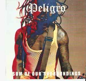 Peligro (7) - Sum Of Our Surroundings album cover