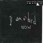 Cover of I Am A Bird Now, , CD