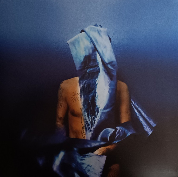 Devendra Banhart – Flying Wig (2023, Opaque blue, Vinyl) - Discogs
