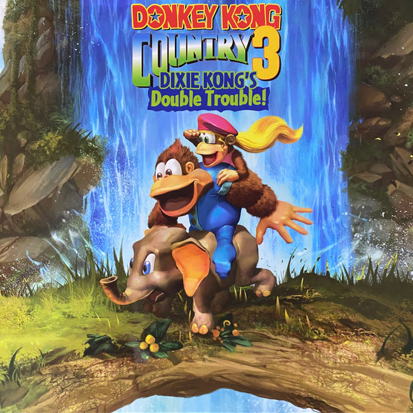 Donkey kong sale country 3 online