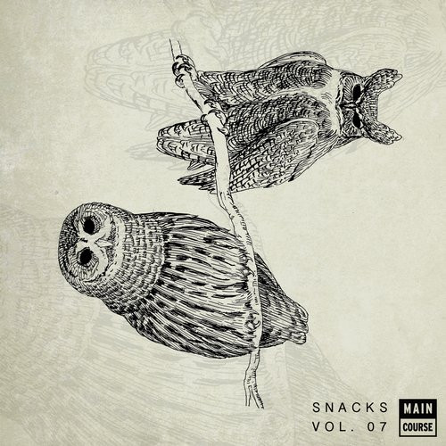 ladda ner album Various - Snacks