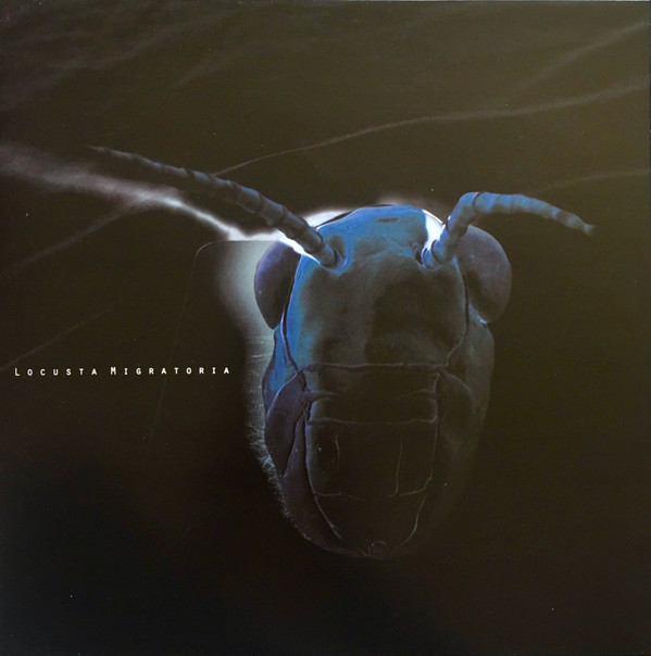 Locusta Migratoria - Locusta Migratoria | KdB Records (KDB003)