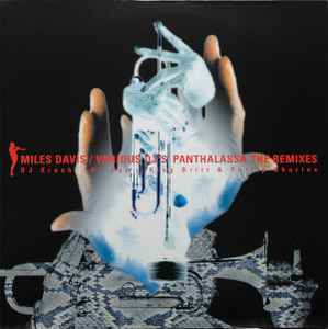 Panthalassa: The Remixes (1999, Vinyl) - Discogs