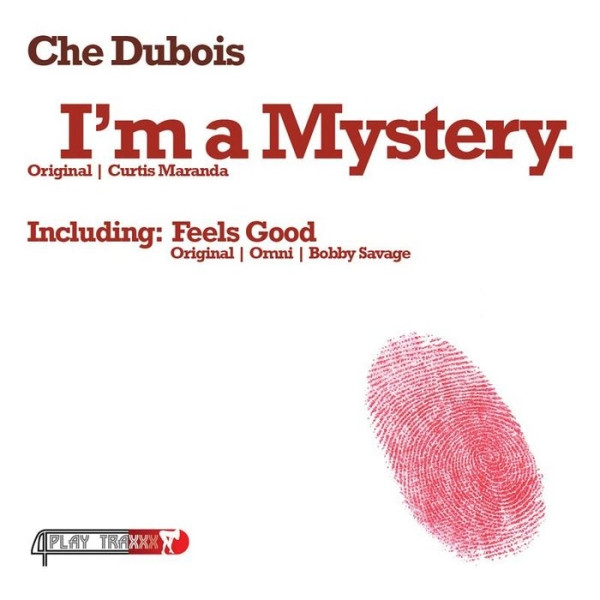 ladda ner album Che Dubois - Im A Mystery