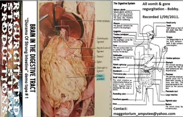 Brain In The Digestive Tract – 