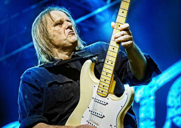 Walter Trout Discography Discogs