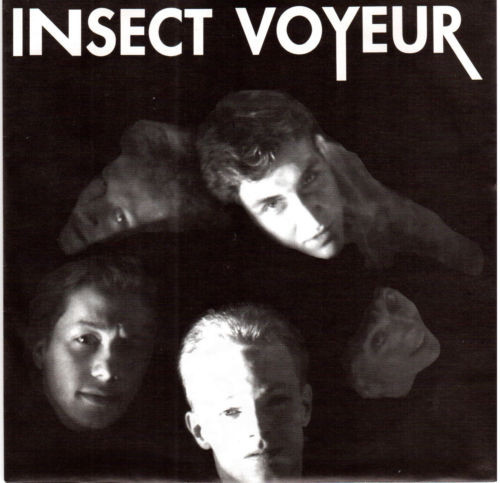 Album herunterladen Insect Voyeur - Tripped Out Train