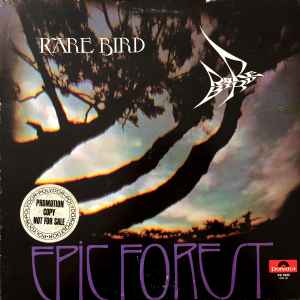 Rare Bird – Epic Forest (1972