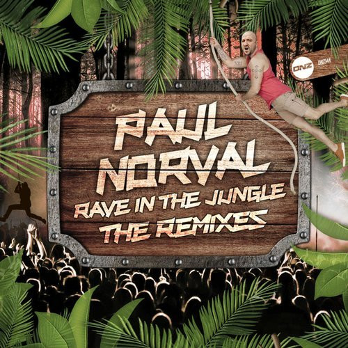 télécharger l'album Paul Norval - Rave In The Jungle The Remixes