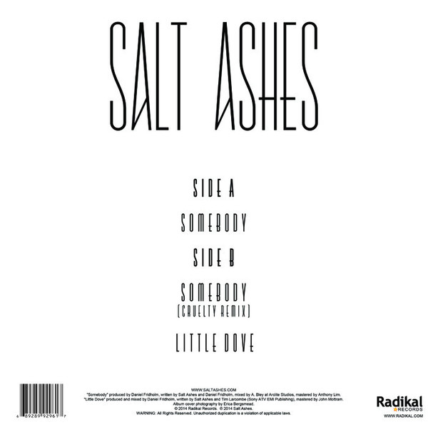 baixar álbum Salt Ashes - Somebody