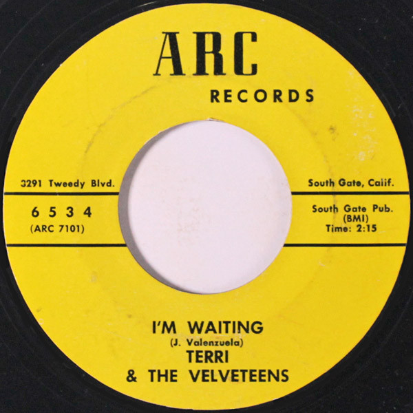 Album herunterladen Terri And The Velveteens - Im Waiting La Flor