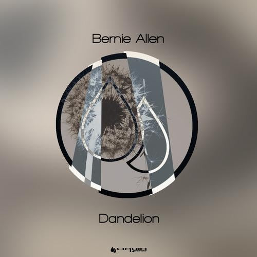 lataa albumi Bernie Allen - Dandelion