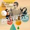 Robin Schulz and Lilly Wood & The Prick - Prayer In C (Remix EP)