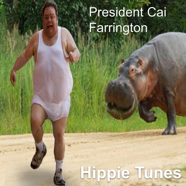 Album herunterladen President Cai Farrington - Hippie Tunes