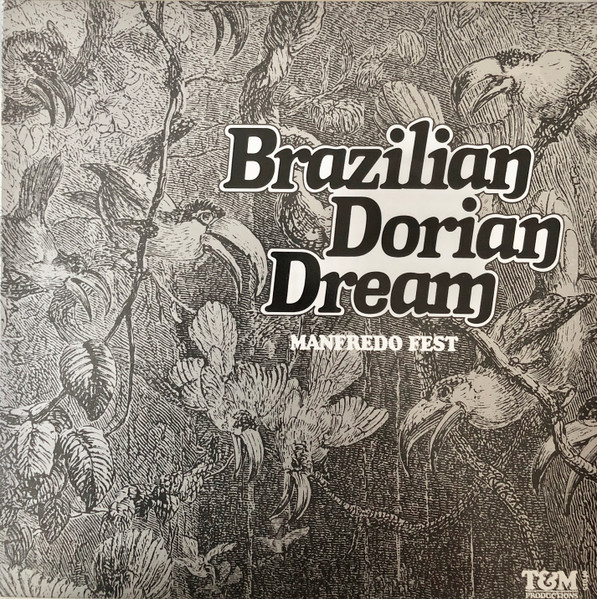 Manfredo Fest - Brazilian Dorian Dream | Releases | Discogs