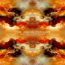 télécharger l'album Feri - AracariStargazer