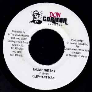 Elephant Man - Thump The Sky album cover