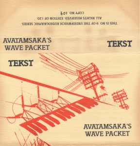 Tekst (2) - Avatamsaka's Wave Packet album cover
