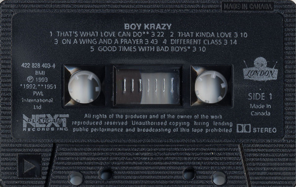 descargar álbum Boy Krazy - Boy Krazy