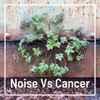 Various - Noise Vs Cancer