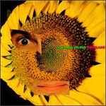 Caetano Veloso – Circuladô (1991, CD) - Discogs