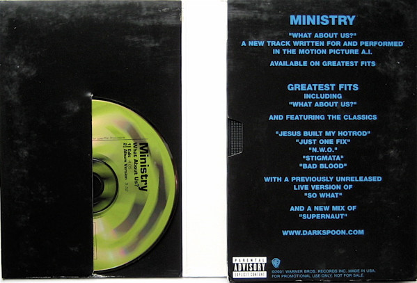 Album herunterladen Ministry - What About Us