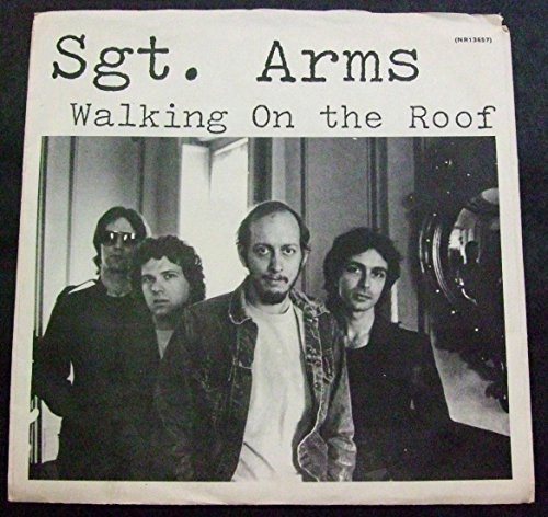 last ned album Sgt Arms - Walking On The Roof Caught In Traffic