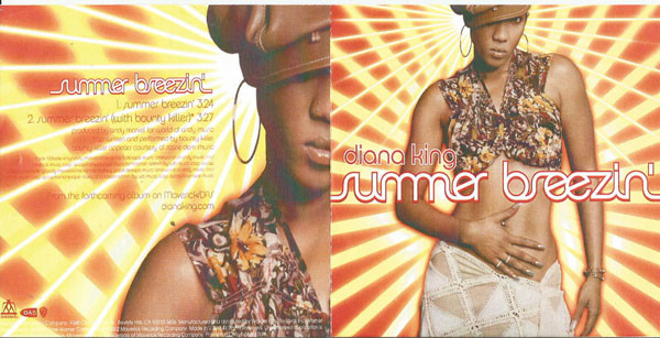 Diana King – Summer Breezin' (2002, CD) - Discogs