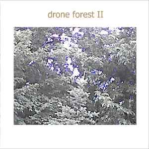 Drone Forest - Drone Forest II album cover