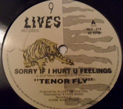 Album herunterladen Tenor Fly - Sorry If I Hurt U Feelings The Truth Hurts
