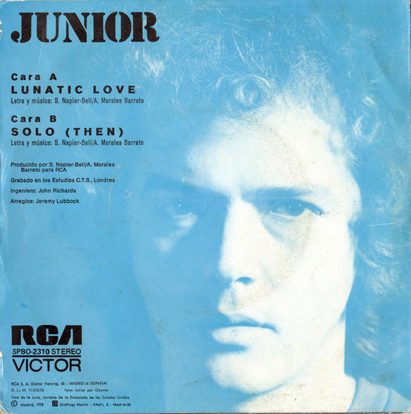 ladda ner album Junior - Lunatic Love