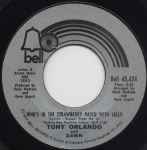 Cover of Whos In The Strawberry Patch With Sally / Ukulele Man, 1973, Vinyl