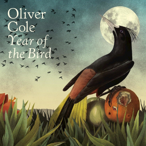 télécharger l'album Oliver Cole - Year of the Bird