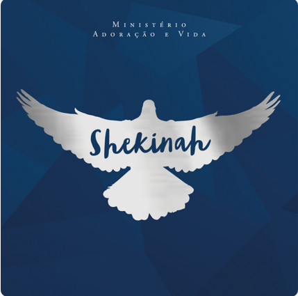 descargar álbum Ministério Adoração E Vida - Shekinah