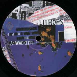 Lithops - Wackler / Kahn album cover