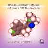 Akasha Project - The Quantum Music Of The LSD Molecule