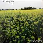 Cover of Causey Vs. Everything, 2001, Vinyl