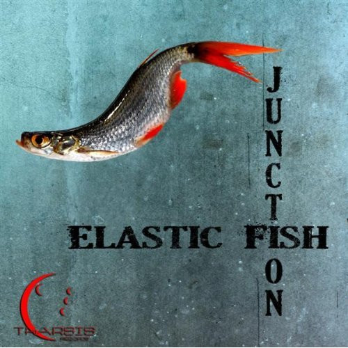 Album herunterladen Download Elastic Fish - Junction album