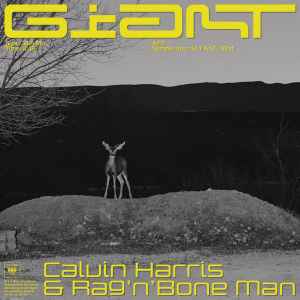 Calvin Harris -  Giant album cover